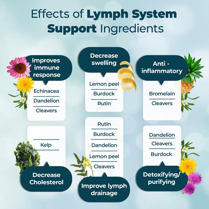 Lymph System Support